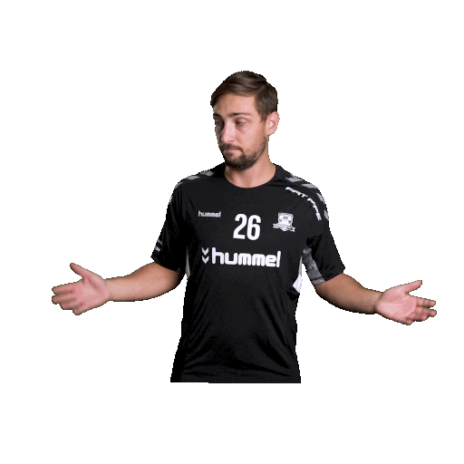 hattrick-brno sport floorball salibandy innebandy Sticker