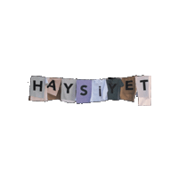 Haysiyet Sticker by Kanal D