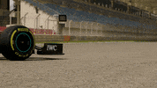 Formula One Sport GIF by Mercedes-AMG Petronas Formula One Team