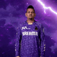 Kolkata Knight Riders Ipl GIF by Knight Riders Sports