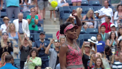 usopen giphyupload sports giphysports tennis GIF
