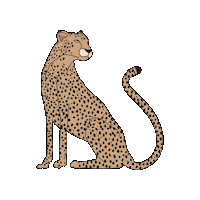 Leopard Cheetah Sticker by Never Fully Dressed