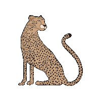Leopard Cheetah Sticker by Never Fully Dressed