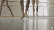 university of oklahoma GIF