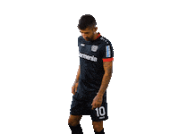 Bayer 04 Werkself Sticker by Bayer 04 Leverkusen