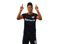 Bayer 04 Swipe Sticker by Bayer 04 Leverkusen