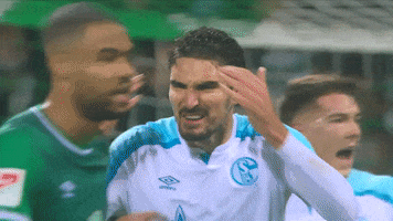 Football Soccer GIF by FC Schalke 04