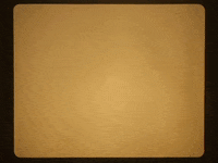 falenabalena italian pony lamp language GIF