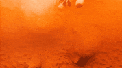 festival crashing GIF by Astralwerks