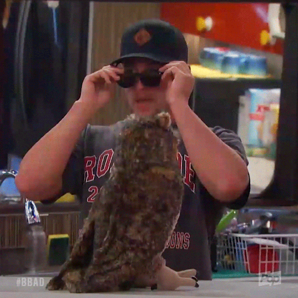 see clearly big brother GIF by Big Brother After Dark
