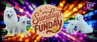 Weekend Sunday GIF