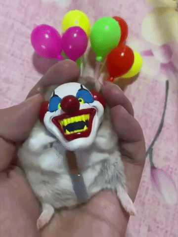 Boo! Adorable Hamster Dons Costumes for Halloween