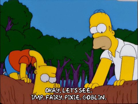 homer simpson GIF