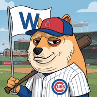 Winning Shiba Inu GIF by Doge Pound