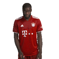 Bundesliga Watching Sticker by FC Bayern Munich