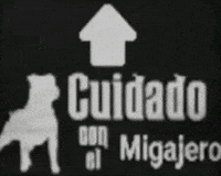 Migajas Farid Dieck GIF