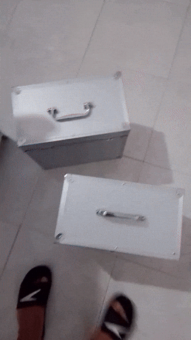 Disciplinatha giphyupload GIF