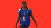 Ffhandball GIF by Fédération Française de Handball