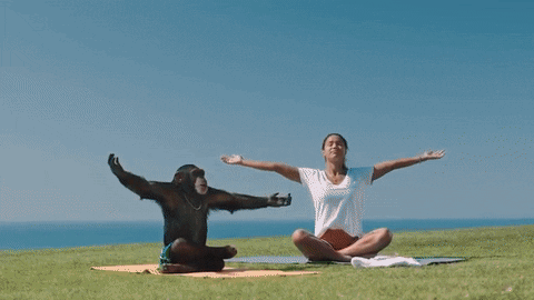 steve aoki GIF by Sony Music Perú