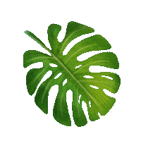 Plant Leaf Sticker by Trakto