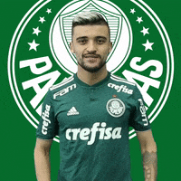 victor luis escudo GIF by SE Palmeiras