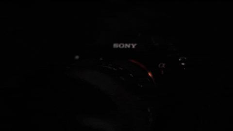 maikkleinert giphyupload full frame sony alpha mirrorless camera GIF