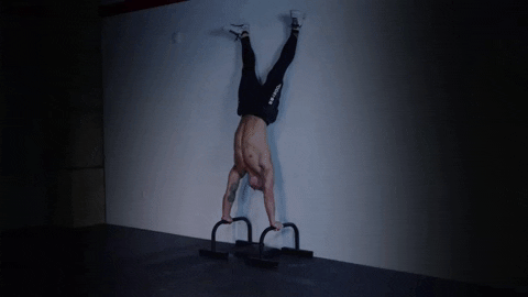 mattmartin2 giphygifmaker crossfit deficit handstandpushup GIF