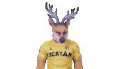 Que Paso Sticker by Venados FC