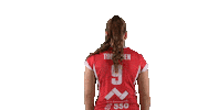 Sport Volleyball Sticker by LP Viesti