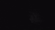 The Last Man On Earth Theo Ellis GIF by Wolf Alice