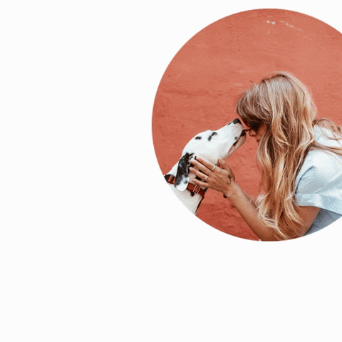 Dog Love GIF by Couponmoto