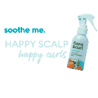 Afro Hair Curls Sticker by Flora & Curl