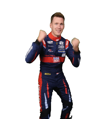 Motorsport Wtcr Sticker by FIA World Touring Car Cup