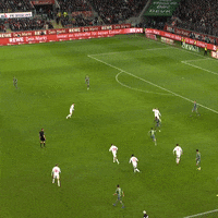 1 Fc Cologne Football GIF by 1. FC Köln