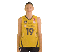 Boskovic Love Sticker by VakıfBank Spor Kulübü