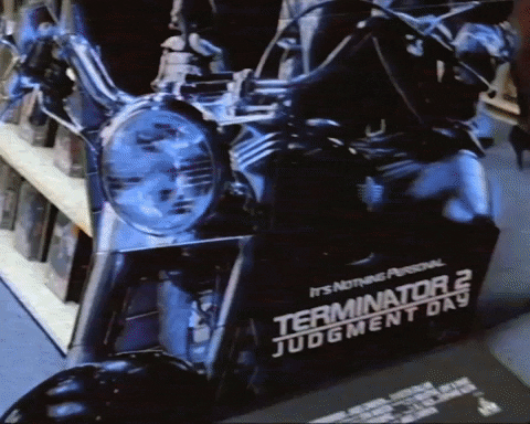 Terminator 2 Meme GIF