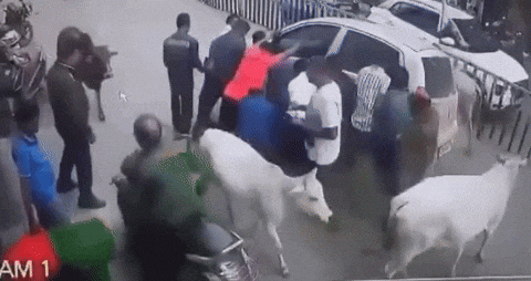 uuusssuuu giphyupload GIF