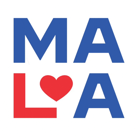 Make America Love Again - 4