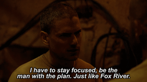 fox GIF by Prison Break