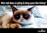 tumy GIF by Lozi Singapore Co.