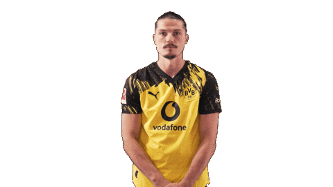 Borussia Dortmund Football Sticker by Bundesliga