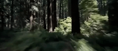 return of the jedi episode 6 GIF by Star Wars