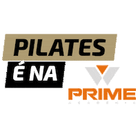 Prime Sticker by WellAcademia