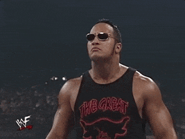 the rock wrestling GIF by WWE