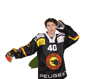 Weber Sticker by SC Bern