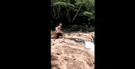 GIF by Mashable