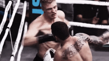 fight punch GIF by GLORY Kickboxing
