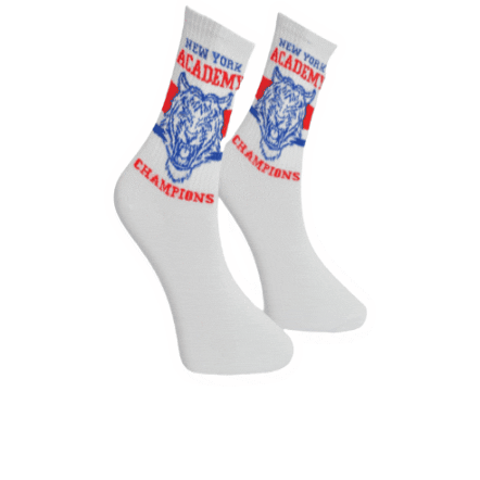 RoiSocks giphygifmaker socks roisocks roi socks Sticker