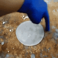 water physics GIF