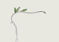 bergenassembly money production capital communism GIF